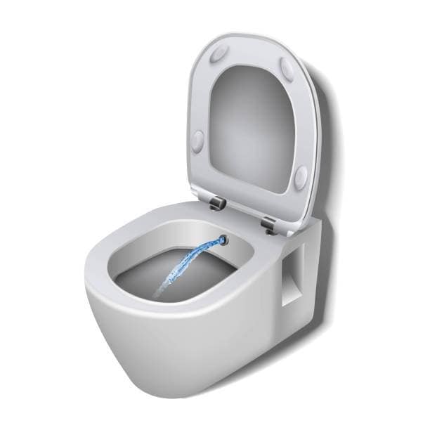 wc con bidet insieme wc con bidet insieme